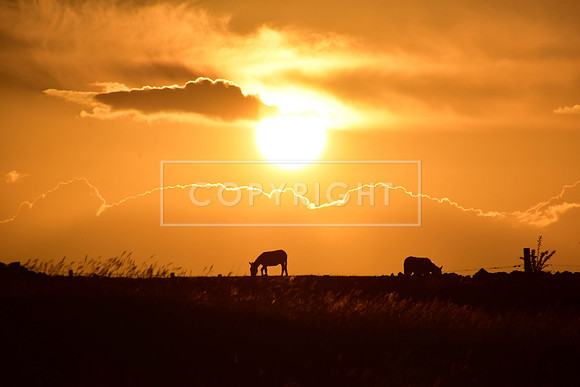 Cotswold Sunset