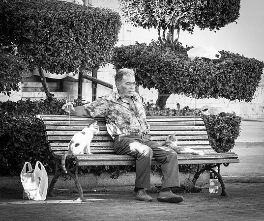 The Cat Man