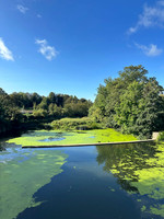 River View from Princes Drive