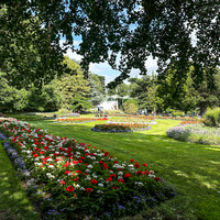 Jephson Gardens Flowers