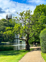 Jephson Gardens 4
