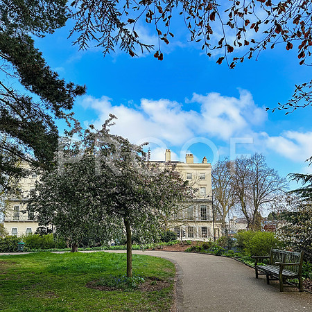 Jephson Gardens 5