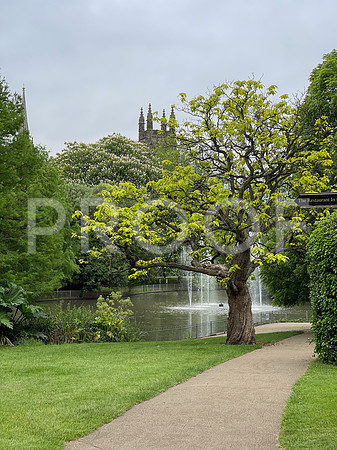 Jephson Gardens 6